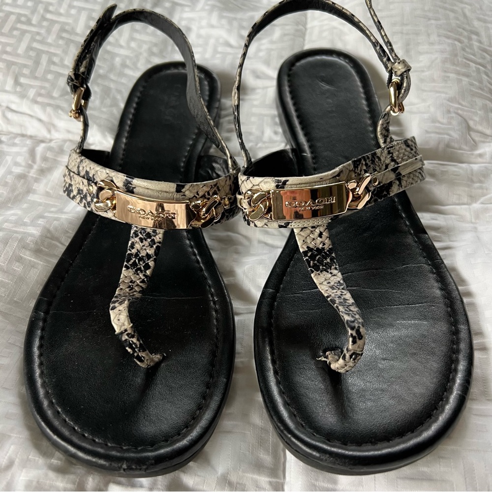 Coach Caterine 10B snakeskin embossed sandals